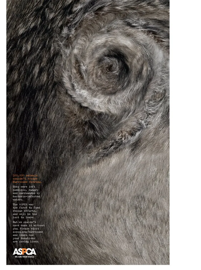 ASPCA – Hurricane Katrina